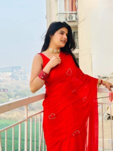 Half Pure Chiffon Handwork Saree with Blouse