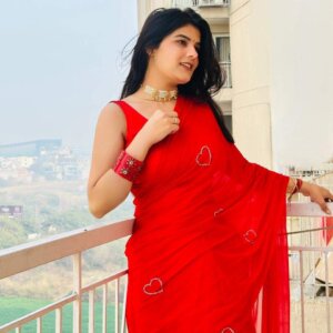 Half Pure Chiffon Handwork Saree with Blouse