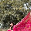 Pure Chiffon Saree with Heavy Gotapatti Work and Contrast Blouse